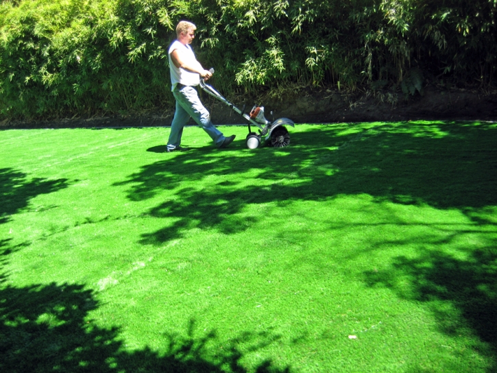 Artificial Turf Carmine Texas Lawn Back Yard