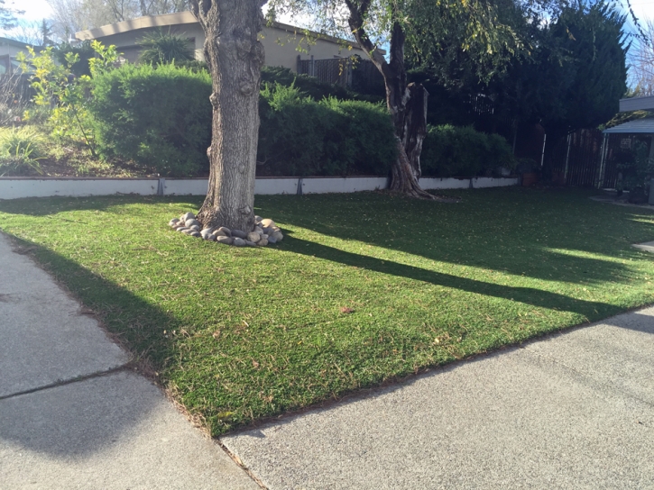 Artificial Turf College Station Texas Lawn Front Yard