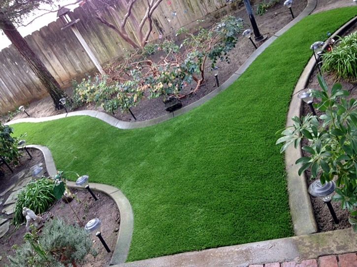 Artificial Turf Crawford Texas Landscape Back Yard