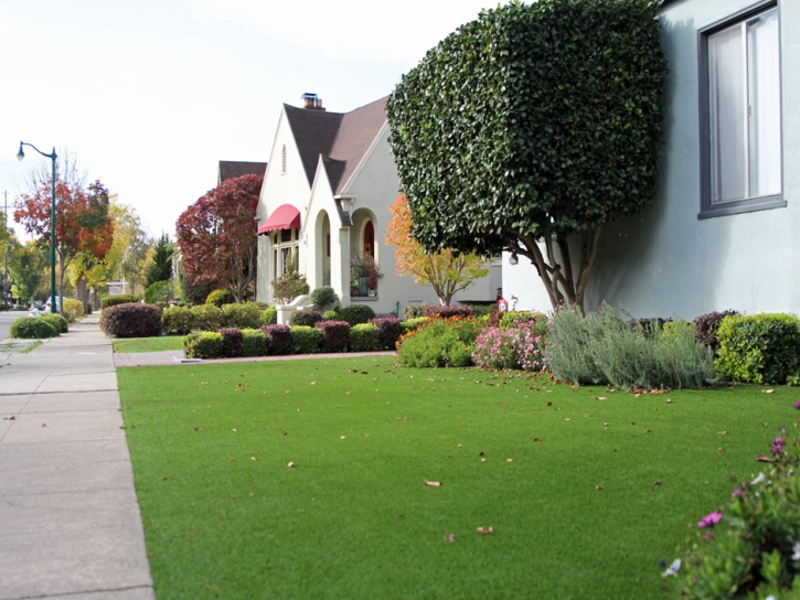 Artificial Turf Elmendorf Texas Lawn Front Yard