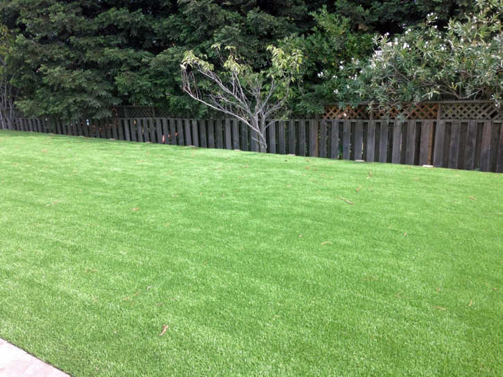 Artificial Turf Fort Hood Texas Landscape Back Yard