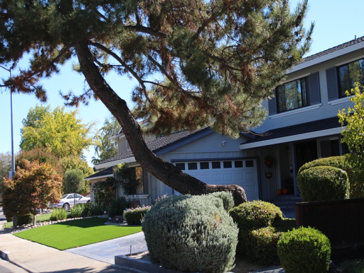 Artificial Turf Golinda Texas Lawn Front Yard