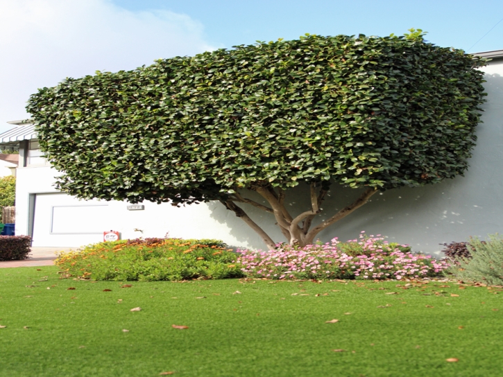 Artificial Turf Hearne Texas Lawn Front Yard