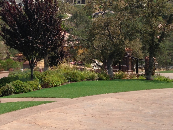 Artificial Turf Ingram Texas Lawn Commercial Landscape Back