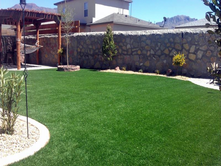 Artificial Turf Kingsbury Texas Landscape Back Yard