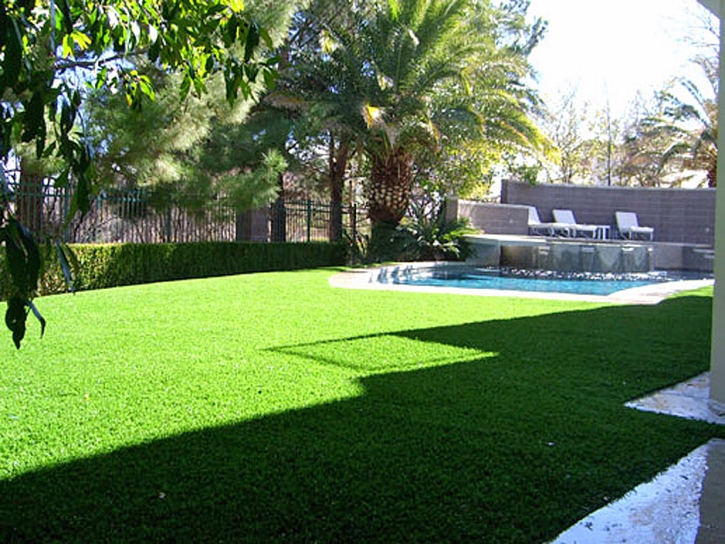 Artificial Turf La Coste Texas Landscape