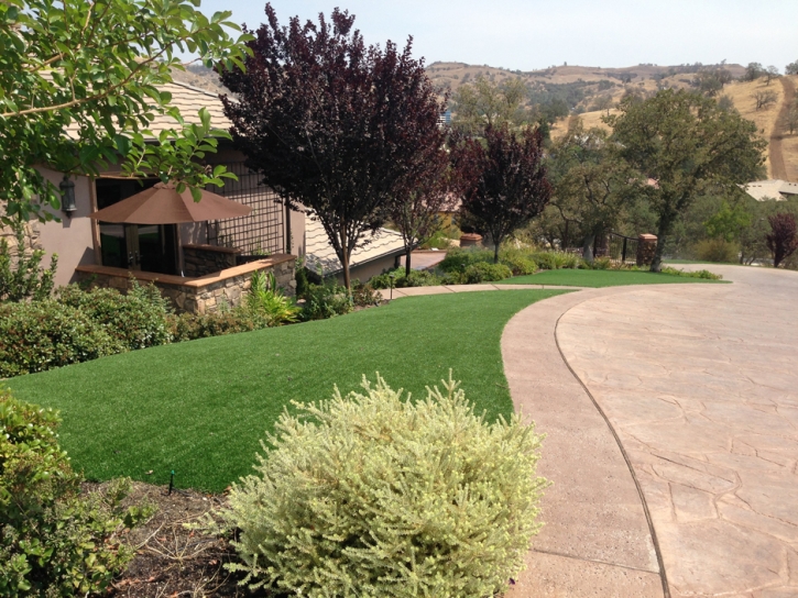 Artificial Turf Leander Texas Landscape Front Yard