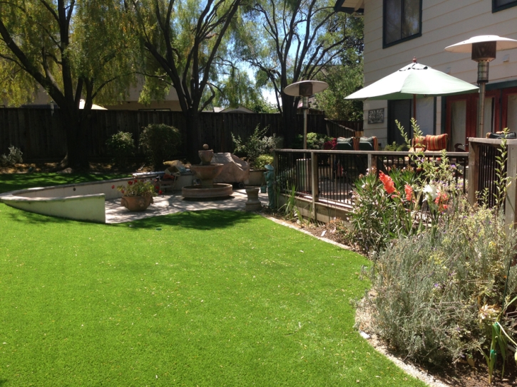 Artificial Turf Leander Texas Landscape Back Yard