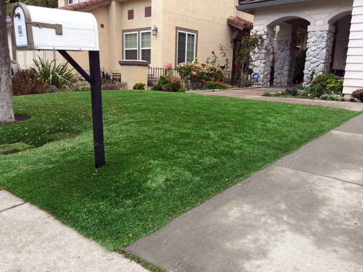 Artificial Turf Lometa Texas Lawn Front Yard