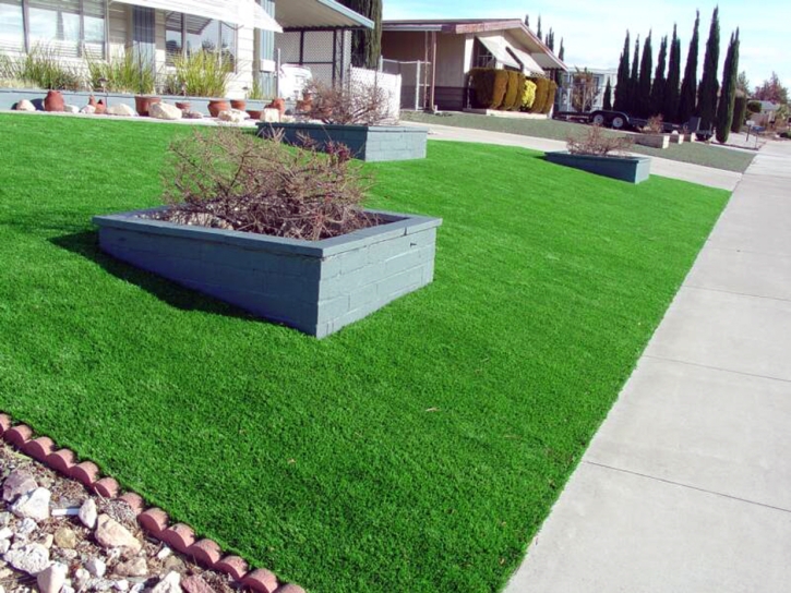 Artificial Turf Macdona Texas Landscape Front Yard