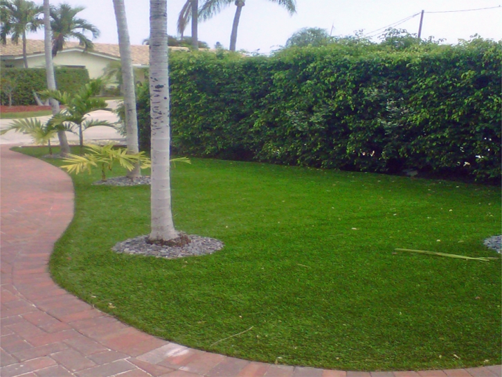 Artificial Turf Martindale Texas Lawn Front Yard