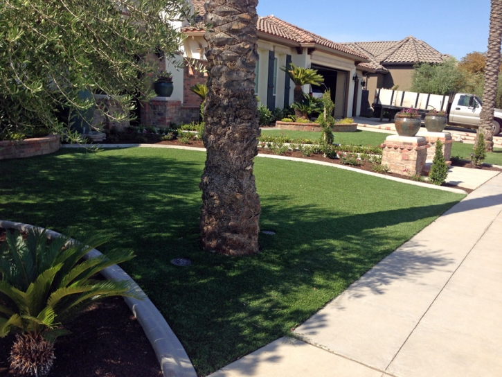 Artificial Turf Point Venture Texas Lawn Front Yard