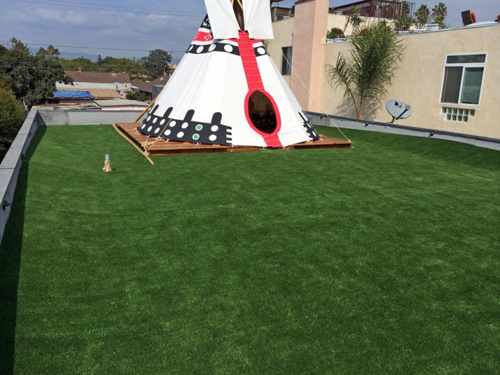 Artificial Turf Schulenburg Texas Landscape Roof Top