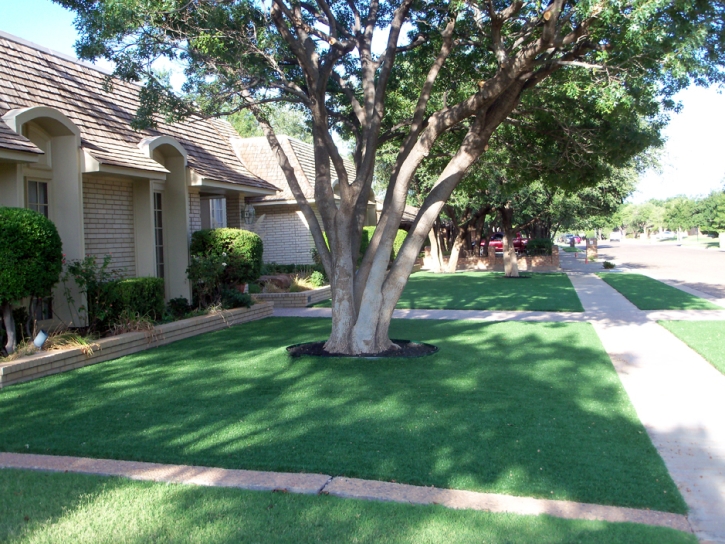 Artificial Turf Serenada Texas Landscape Front Yard