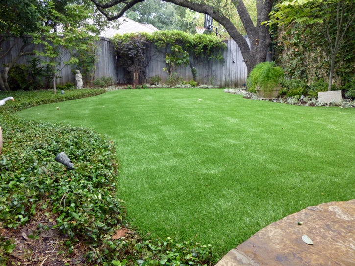 Artificial Turf Serenada Texas Landscape Back Yard