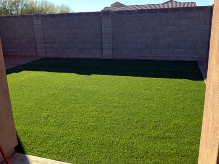 Artificial Turf South Mountain Texas Lawn Back Yard