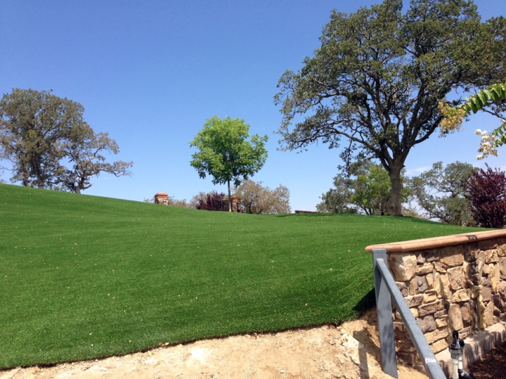 Artificial Turf Uhland Texas Lawn Front Yard