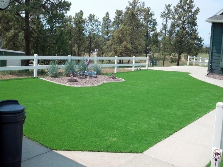 Artificial Turf Wells Branch Texas Landscape Front Yard