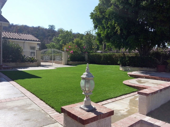 Artificial Turf Wimberley Texas Landscape Front Yard