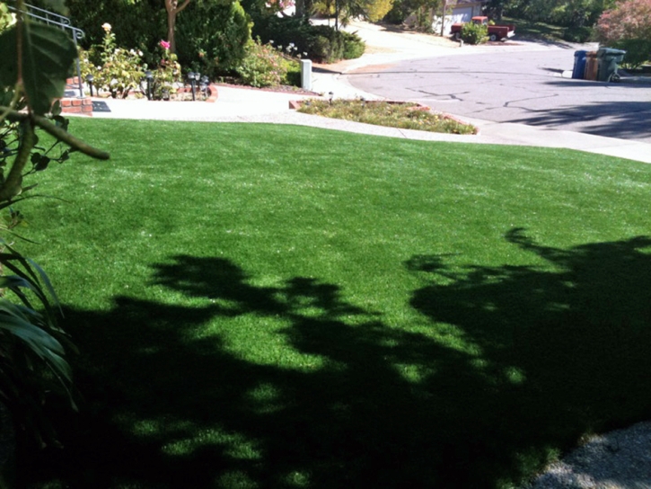 Artificial Turf Windcrest Texas Landscape Front Yard