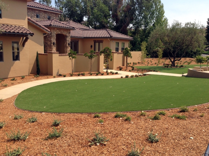 Artificial Turf Wyldwood Texas Lawn Front Yard