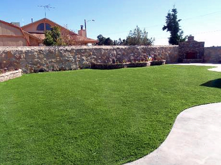 Artificial Turf Yoakum Texas Landscape Back Yard