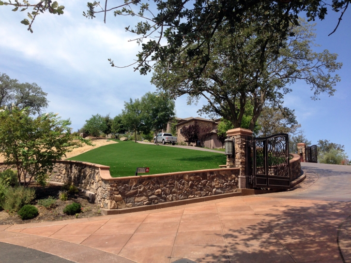 Artificial Turf Zuehl Texas Landscape Front Yard