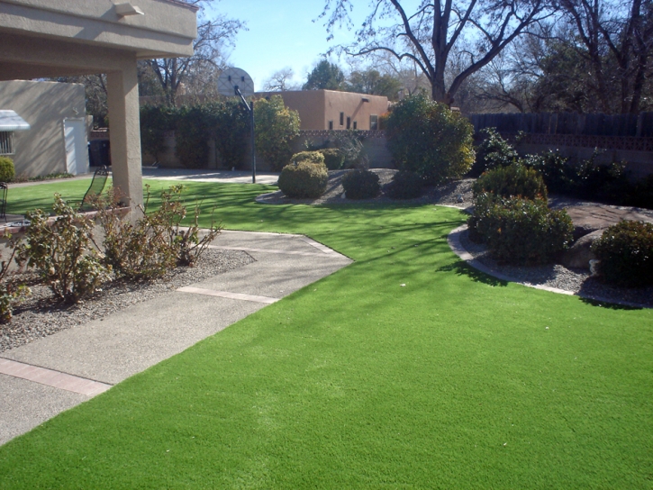 Fake Grass Bee Cave Texas Landscape Front Yard