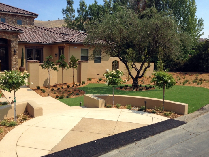 Fake Grass Canyon Lake Texas Lawn Front Yard