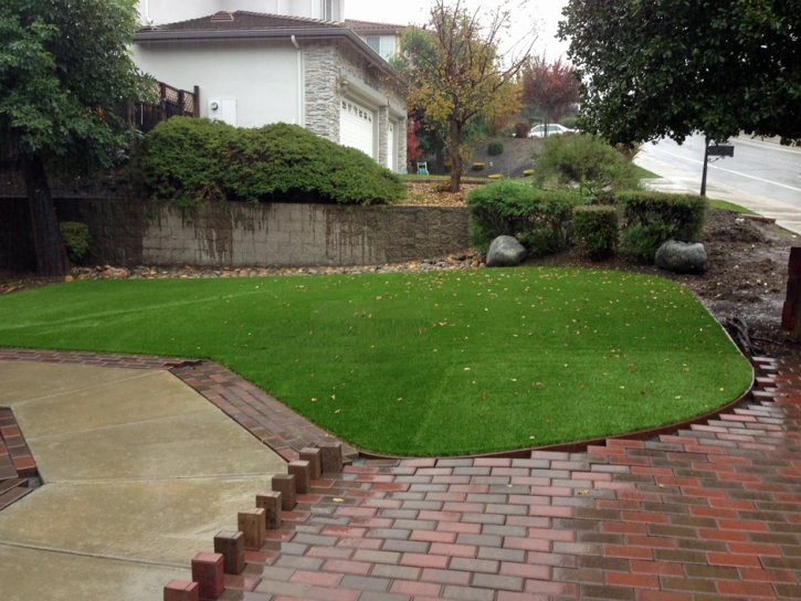 Fake Grass Carmine Texas Lawn Back Yard