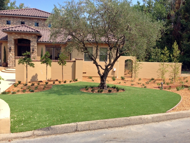 Fake Grass Driftwood Texas Landscape Front Yard