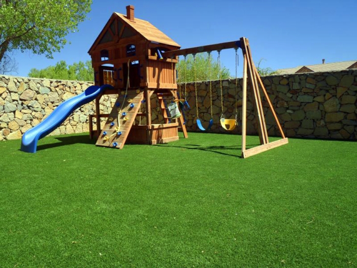 Fake Grass Geronimo Texas Playgrounds Back Yard