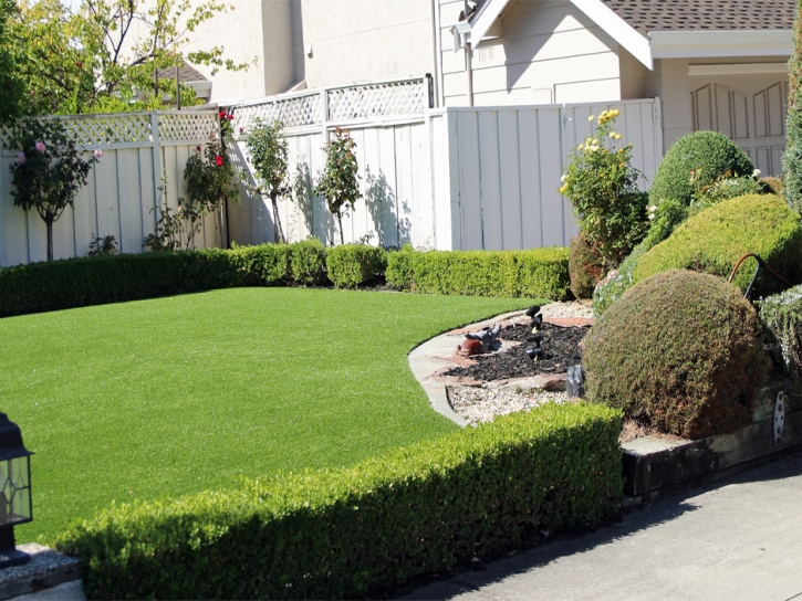 Fake Grass Grey Forest Texas Lawn Front Yard