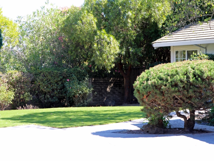 Fake Grass Grey Forest Texas Landscape Front Yard