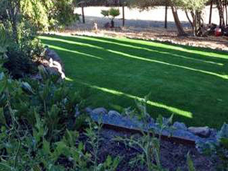 Fake Grass Holland Texas Landscape Back Yard