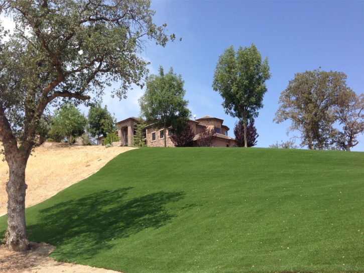 Fake Grass Kyle Texas Landscape Front Yard