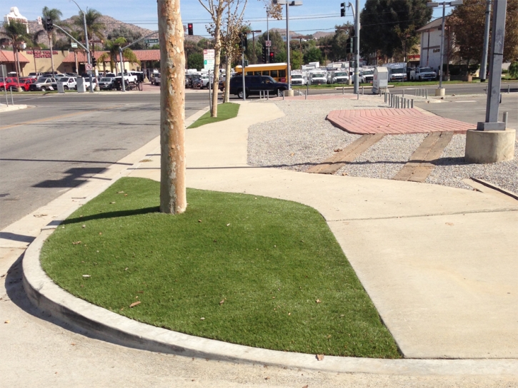 Fake Grass La Vernia Texas Lawn Commercial Landscape