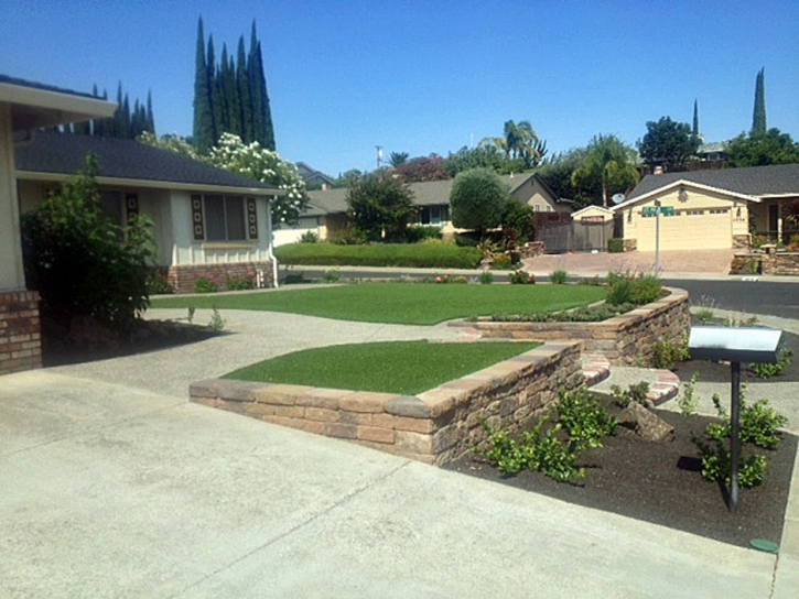 Fake Grass La Vernia Texas Landscape Front Yard