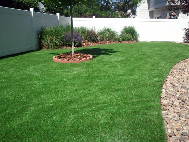 Fake Grass Manchaca Texas Landscape Back Yard