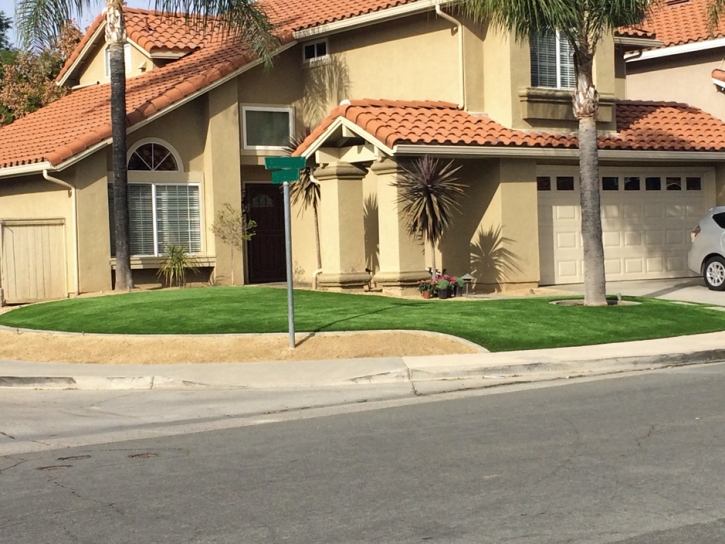 Fake Grass McGregor Texas Landscape Front Yard