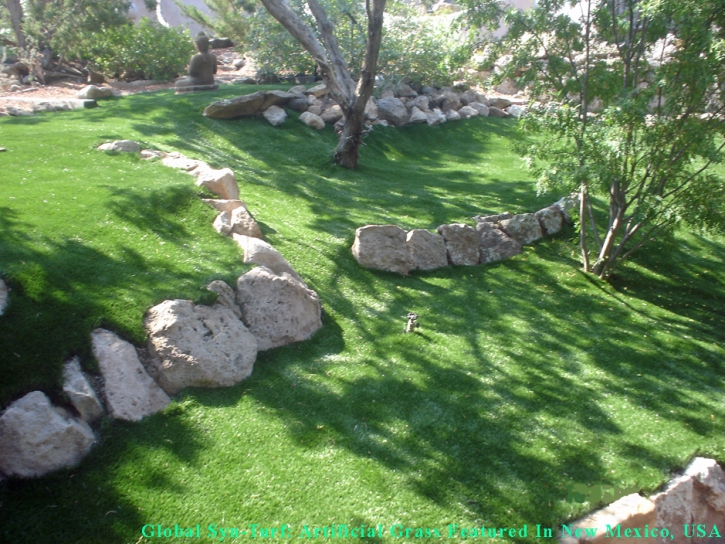 Fake Grass Rollingwood Texas Landscape Pavers Commercial