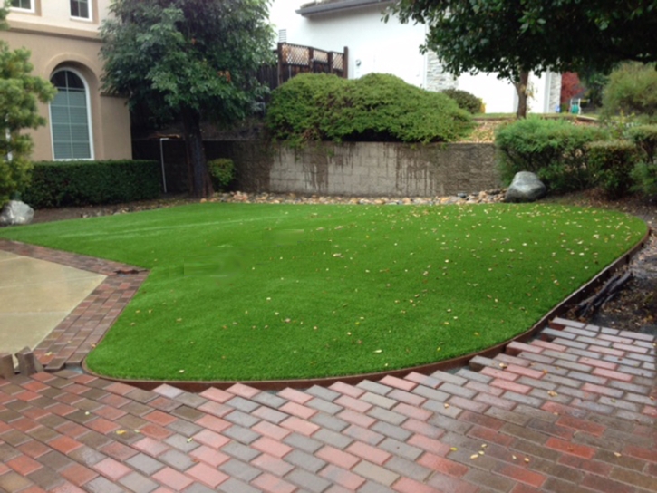 Fake Grass Rosebud Texas Lawn Front Yard