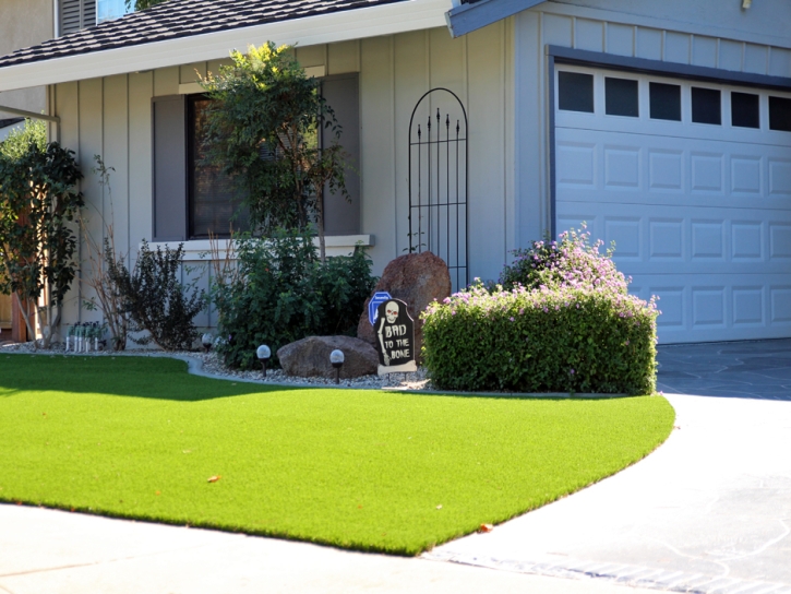 Fake Grass Selma Texas Lawn Front Yard