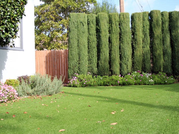 Fake Grass South Mountain Texas Landscape Front Yard