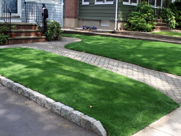 Fake Grass Thrall Texas Landscape Front Yard