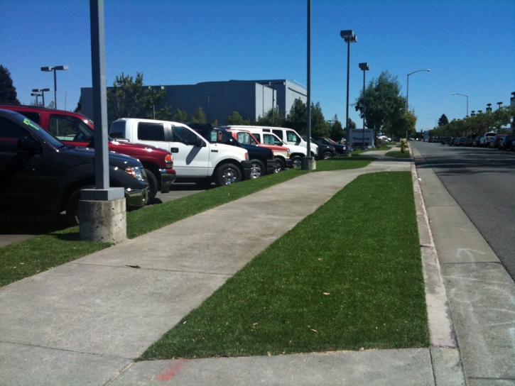 Fake Grass Wells Branch Texas Landscape Commercial Landscape