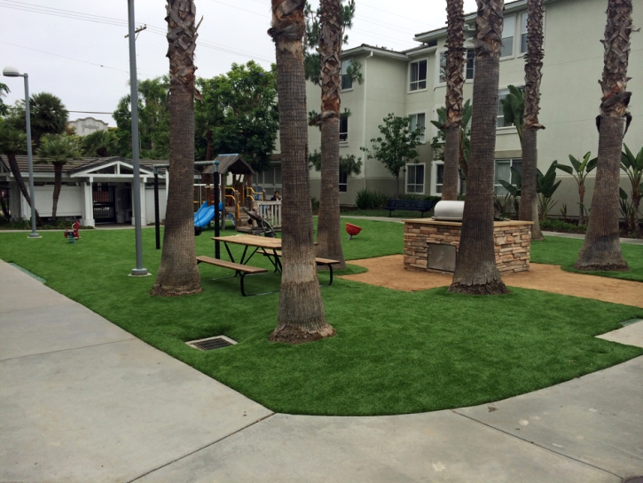 Fake Grass Windemere Texas Lawn Commercial Landscape