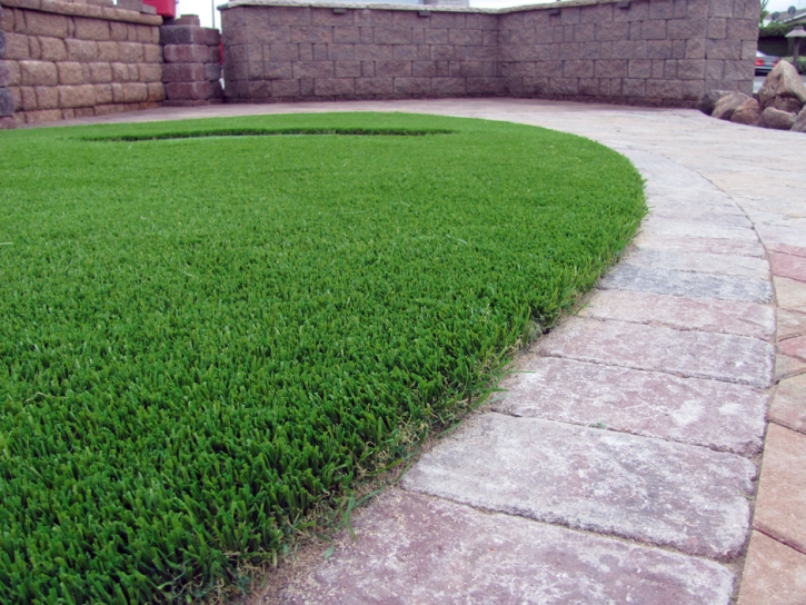 Fake Pet Grass Milano Texas for Dogs Pavers Front Yard