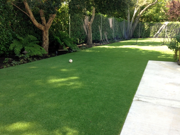 Fake Pet Turf Converse Texas Installation