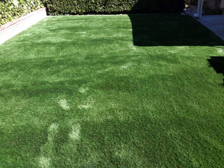 Fake Pet Turf Schulenburg Texas for Dogs Back Yard